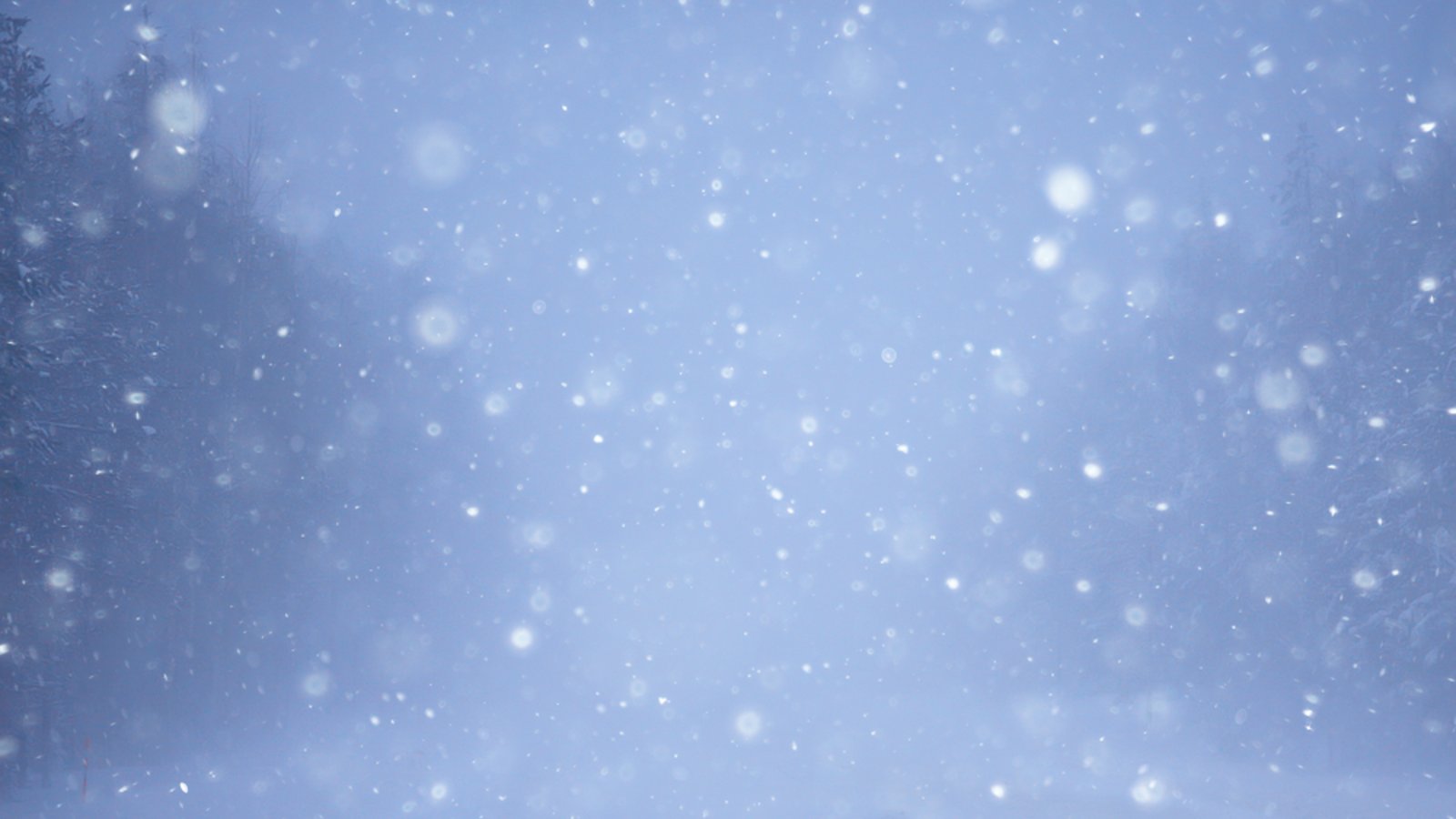 In Baden-Württemberg soll es auch am Wochenende wieder schneien.Foto: Kichigin / shutterstock.com In Baden-Württemberg soll es auch am Wochenende wieder schneien.Foto: Kichigin / shutterstock.com