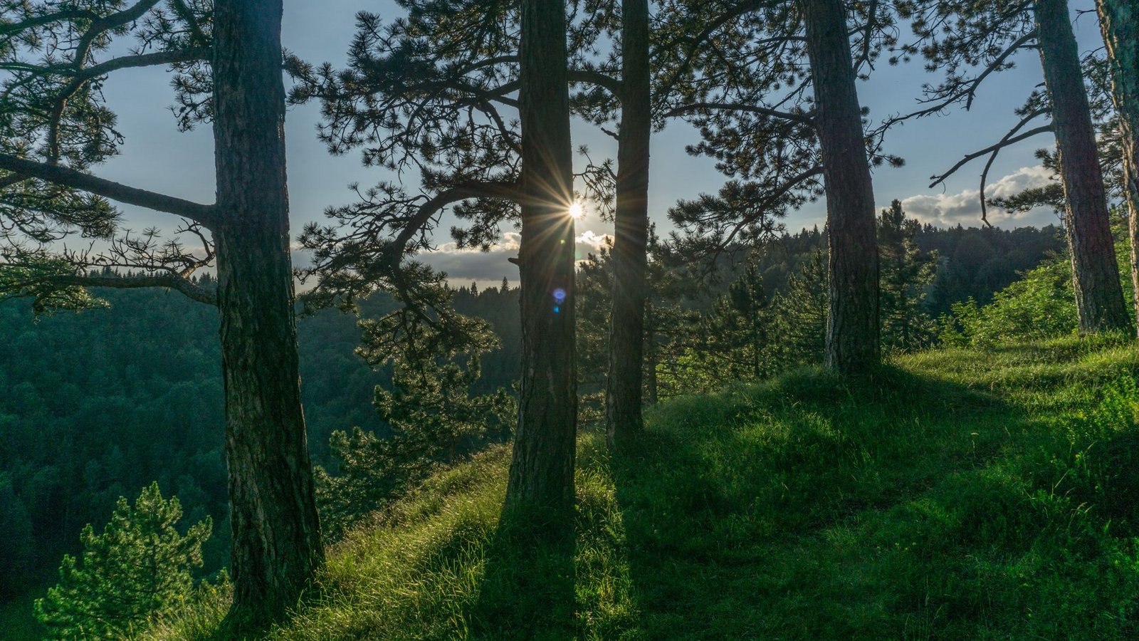 Der Wenzelstein, ein Nebengipfel des Schafsteins, besticht durch seine abgeschiedene Lage.Foto: Faltin Der Wenzelstein, ein Nebengipfel des Schafsteins, besticht durch seine abgeschiedene Lage.Foto: Faltin