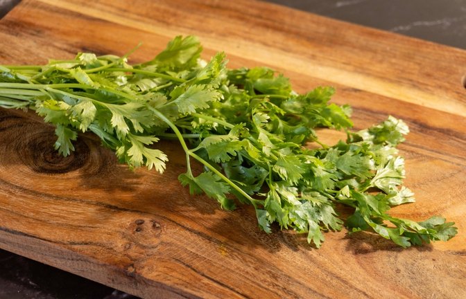 Kerbel und Koriander sehen ähnlich aus und sind eng verwandt, allerdings handelt es sich um zwei verschiedene Pflanzen. Mehr dazu hier.<span class='image-autor'>Foto: Raccoon Graphic / Shutterstock.com</span>