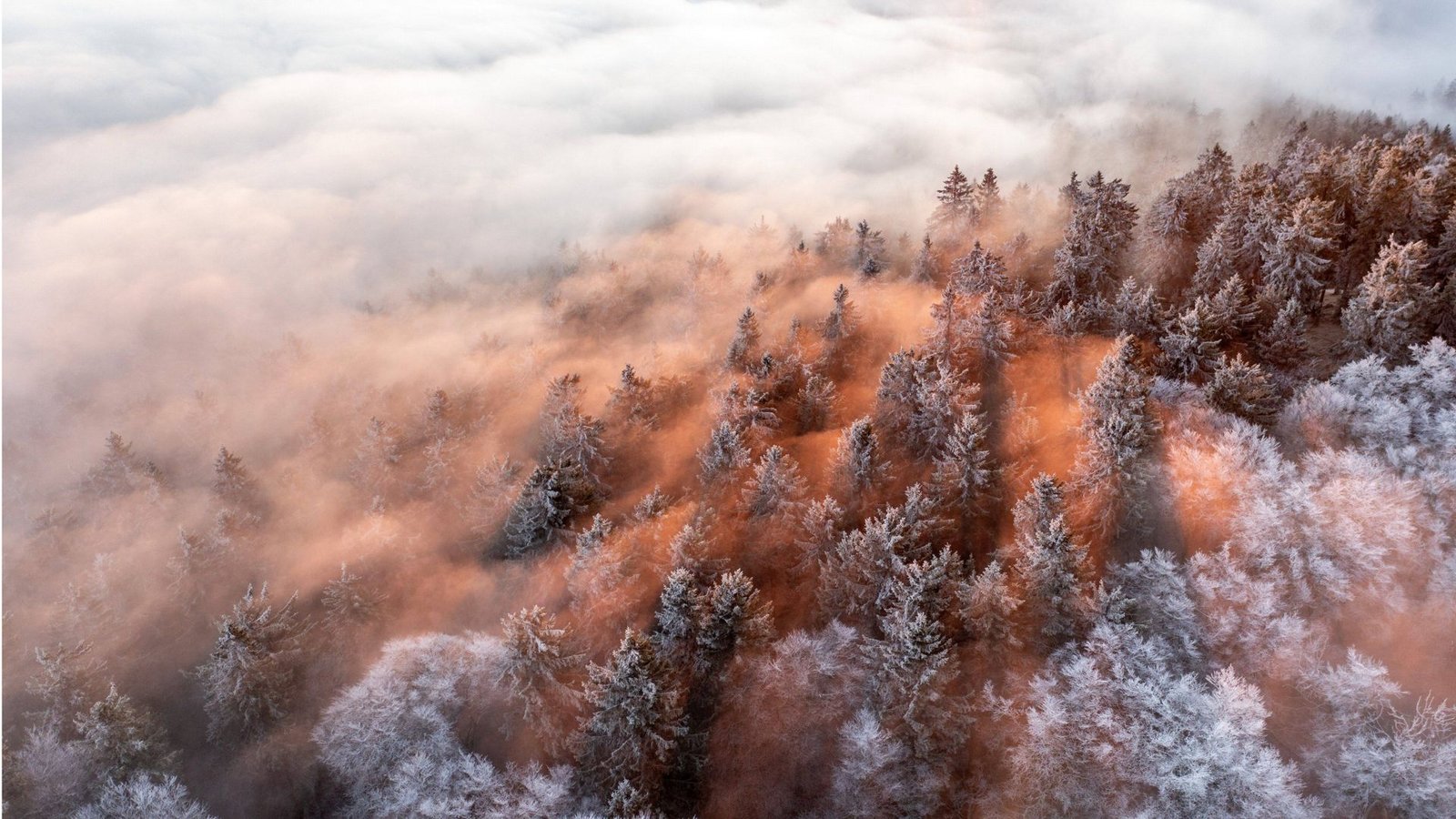 Die Höhenlagen des Taunus rund um den Großen Feldberg ragen am Morgen eines Wintertages aus einem Nebelmeer.Foto: Imago/Jan Eifert