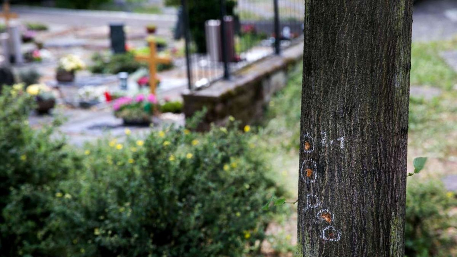 Spuren des Angriffs: Haben sich die Beamten richtig verhalten, als es zu dem Angriff kam?Foto: Ines Rudel/Rudel Spuren des Angriffs: Haben sich die Beamten richtig verhalten, als es zu dem Angriff kam?Foto: Ines Rudel/Rudel