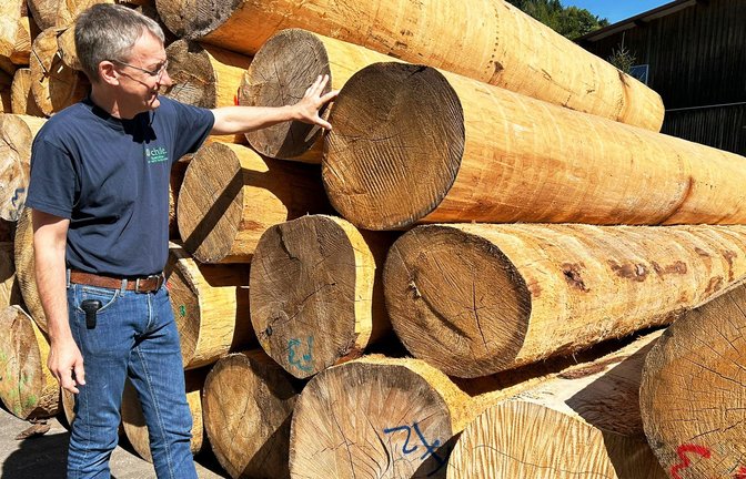 Manuel Echtle, Betreiber eines Sägewerks im Schwarzwald, befürchtet mit der geplanten EU-Entwaldungsverordnung einen Berg an Verwaltungsarbeit.<span class='image-autor'>Foto: Knut Krohn</span>