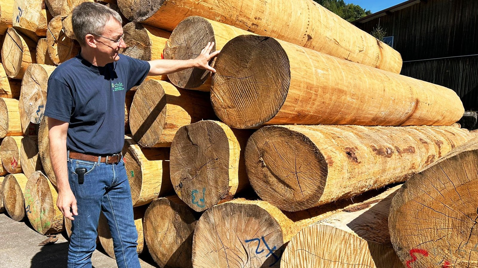 Manuel Echtle, Betreiber eines Sägewerks im Schwarzwald, befürchtet mit der geplanten EU-Entwaldungsverordnung einen Berg an Verwaltungsarbeit.Foto: Knut Krohn Manuel Echtle, Betreiber eines Sägewerks im Schwarzwald, befürchtet mit der geplanten EU-Entwaldungsverordnung einen Berg an Verwaltungsarbeit.Foto: Knut Krohn