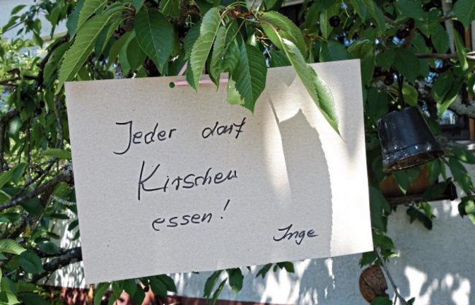 Danke, Inge! Gesehen in Aurich.  Foto: Rücker