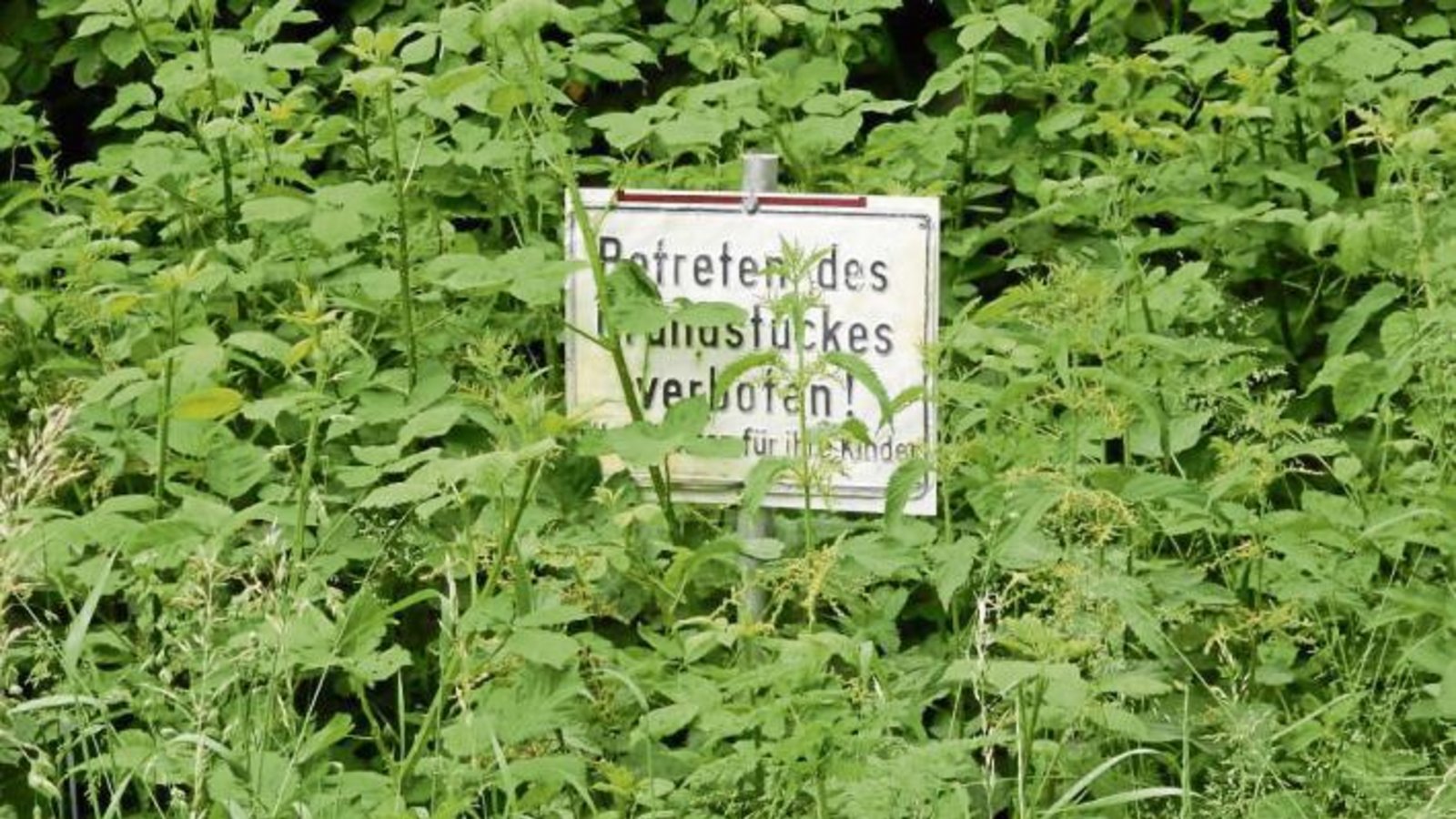 Wer würde dieses Grundstück schon betreten wollen? Gesehen am Radweg bei der Seemühle.  Foto: Arning