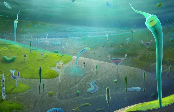 Eine neu entdeckte Fossil-Lagerstätte in China verrät, wie die Lebenswelt vor 554 bis 539 Millionen Jahren aussah.<span class='image-autor'>Foto: © Xiaodong Wang</span>
