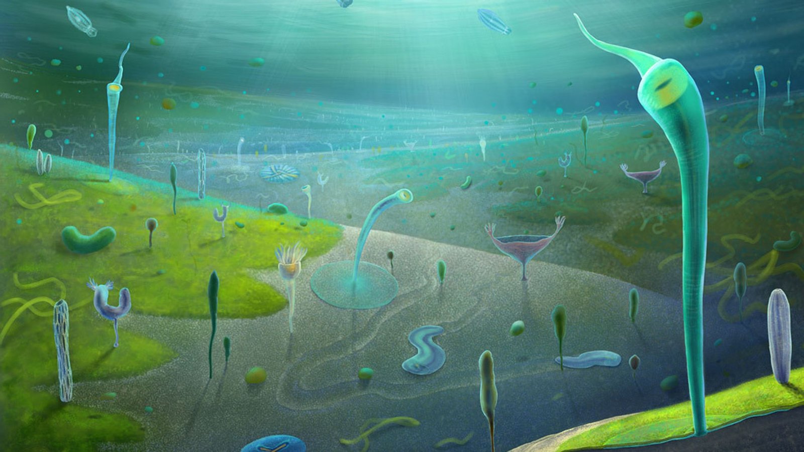Eine neu entdeckte Fossil-Lagerstätte in China verrät, wie die Lebenswelt vor 554 bis 539 Millionen Jahren aussah.Foto: © Xiaodong Wang