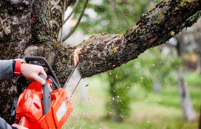 Achtung bei Baumarbeiten: Hier gibt es klare Vorschriften.<span class='image-autor'>Foto: bogdanhoda / shutterstock.com</span>