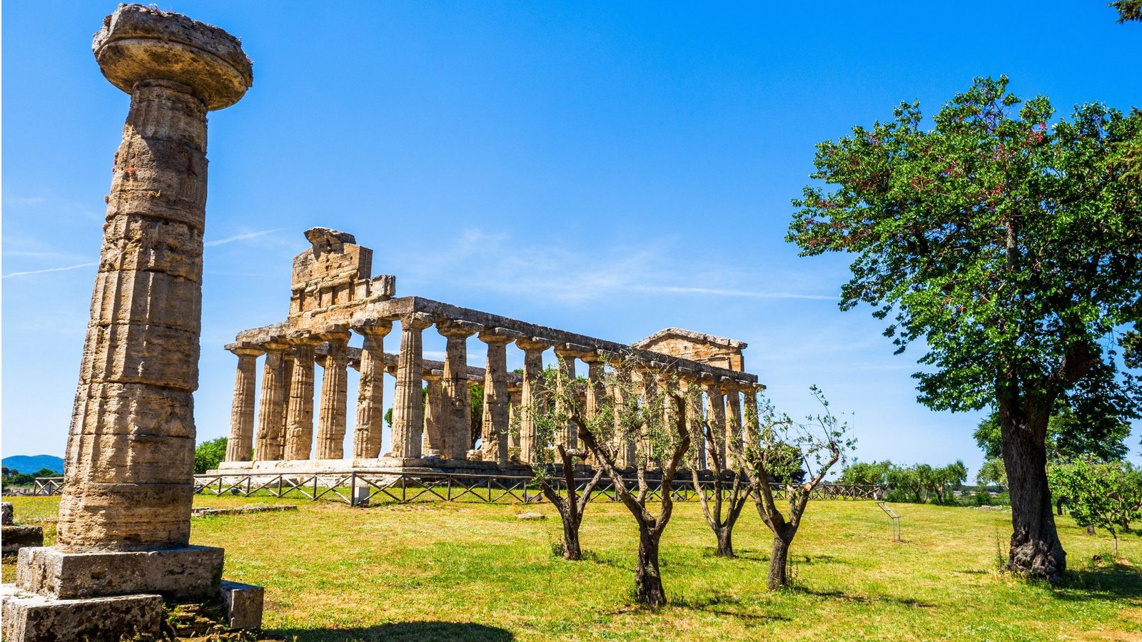 Griechischer Tempel in Paestum im Südwesten ItaliensFoto: imago/Stefano Ravera