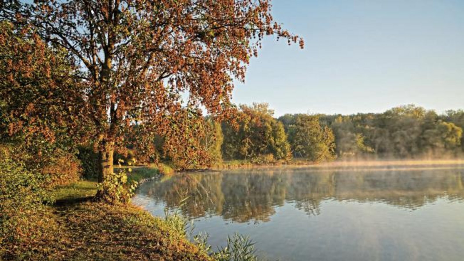 Diese Morgenstimmung am Ensinger See lässt den Herbst erahnen.  Foto: Thalhäuser