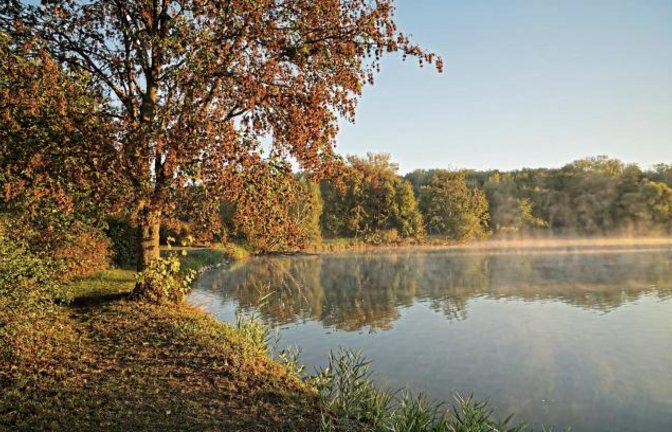 Diese Morgenstimmung am Ensinger See lässt den Herbst erahnen.  Foto: Thalhäuser