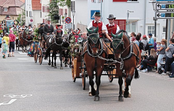 Die Parade der Kutschen mit den Ehrengästen. Fotos: Arning