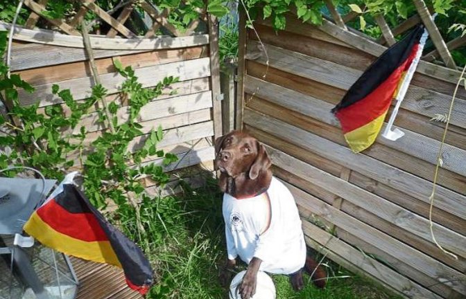 Balou aus Ensingen fiebert der EM-Partie Deutschland gegen Frankreich heute Abend entgegen. „Und falls Manuel Neuer auch noch ausfällt, er hält den Ball auch sicher“, sagen Herrchen und Frauchen Josef und Susanne Ripp.