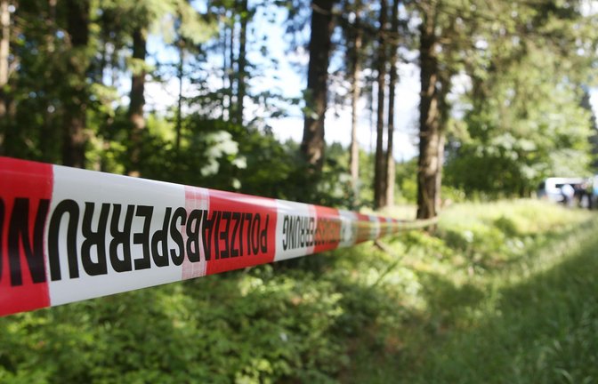 Hier wurde Peggys Leichnam 2016 gefunden. (Archivbild)<span class='image-autor'>Foto: Bodo Schackow/dpa-Zentralbild/dpa</span>