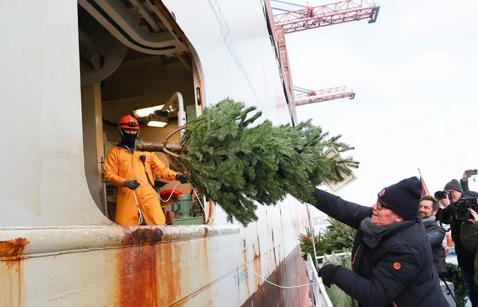 Eine Sponsorin wirft einen Weihnachtsbaum zu zwei Seeleuten in die Luke eines Containerschiffes im Hamburger Hafen.<span class='image-autor'>Foto: Christian Charisius/dpa</span>