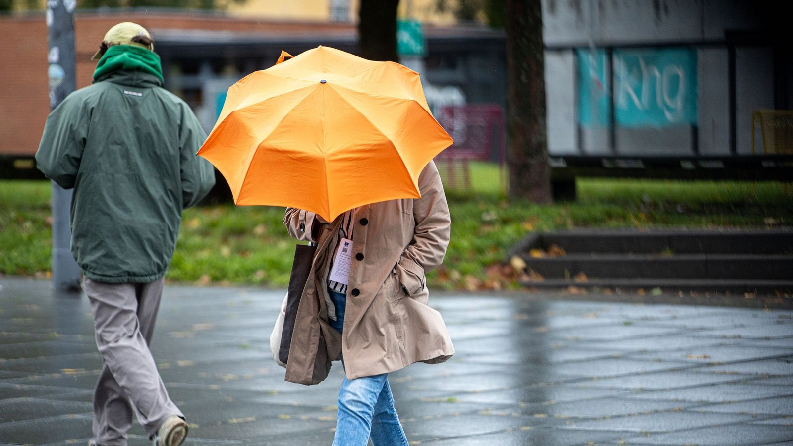Frau mit Regenschirm in Südwestdeutschland.Foto: Pinter Laszlo/dpa Frau mit Regenschirm in Südwestdeutschland.Foto: Pinter Laszlo/dpa