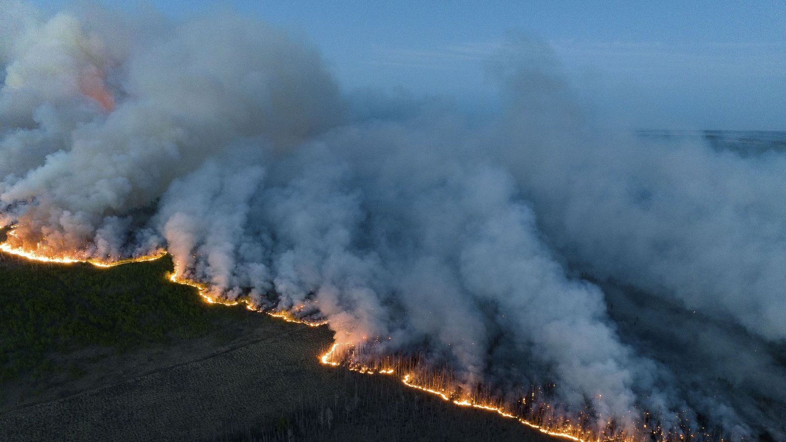 In Kanada brennen seit Wochen die Wälder. Die Auswirkungen zeigen sich nun auch in Deutschland.Foto: BC Wildfire ServiceX/Uncredited