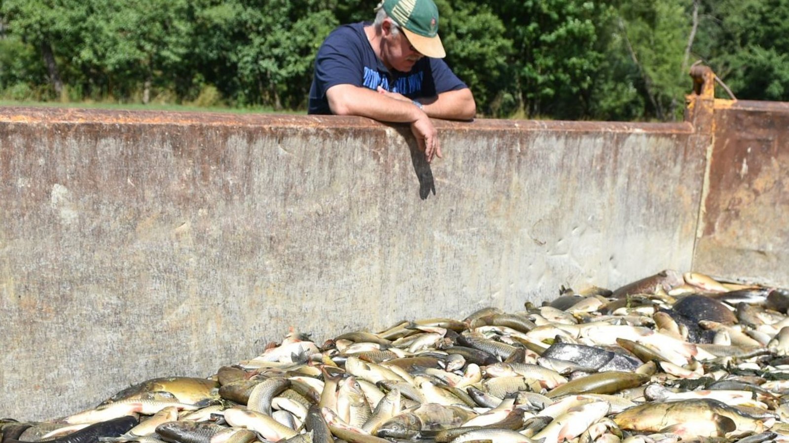 Rund 20 Tonnen an toten Fischen sind im August 2015 aus der Jagst gezogen worden.Foto: dpa Rund 20 Tonnen an toten Fischen sind im August 2015 aus der Jagst gezogen worden.Foto: dpa