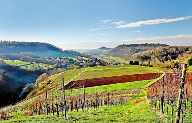 Herbststimmung im Schmidbachtal.<span class='image-autor'>Foto: /Werner Sippel</span>