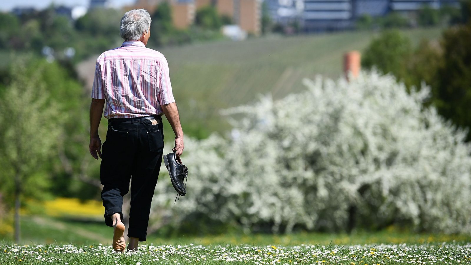 Bereits 15 bis 20 Minuten Bewegung am Tag sollen der Gesundheit förderlich sein.Foto: dpa/Sebastian Gollnow Bereits 15 bis 20 Minuten Bewegung am Tag sollen der Gesundheit förderlich sein.Foto: dpa/Sebastian Gollnow