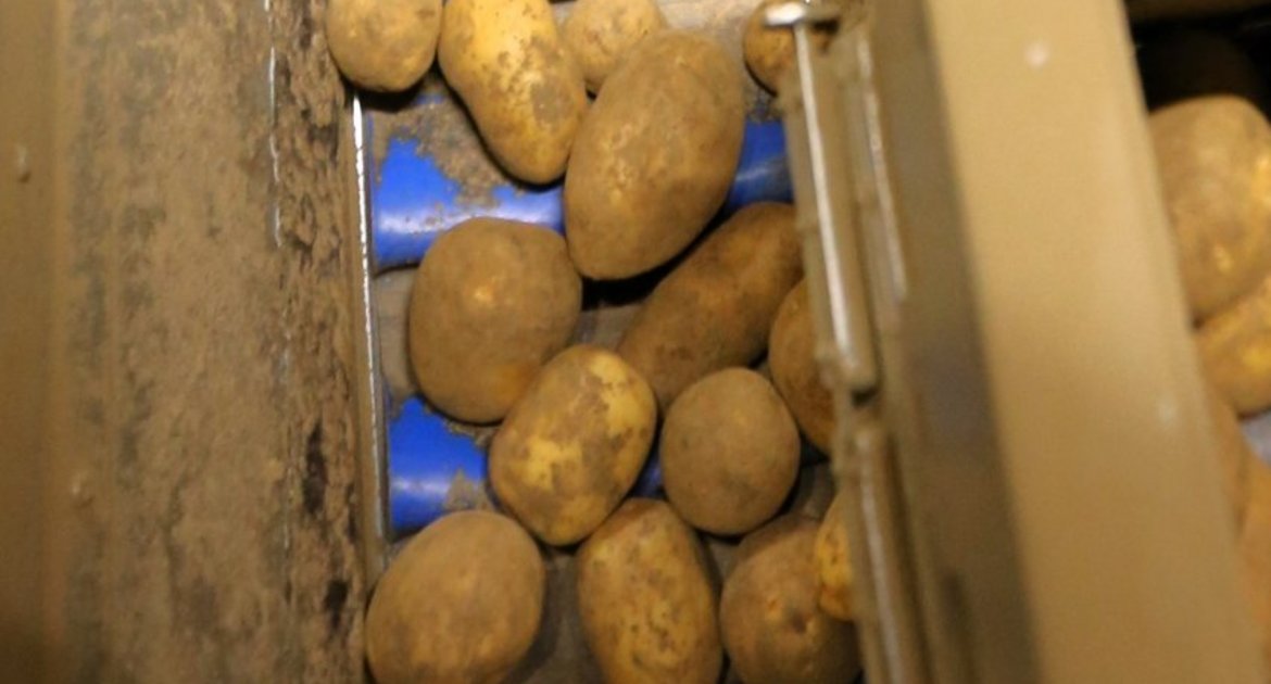 Kreisbauerntag 2025 Vorschau, auf Kartoffelbetrieb von Samuel Muth in Schwaigern, Kreisbauernverband, Bauernverband Heilbronn Ludwigsburg, hier:  Abfüllmaschine mit oben rechts Waage, Förderband, Schütte, nur für Abfüllen in Säcke braucht es noch Menschen, Kartoffeln 12,5 kg