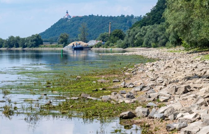 Gefährlich für Unternehmen: Niedrigwasser an der Donau.<span class='image-autor'>Armin Weigel/dpa</span>