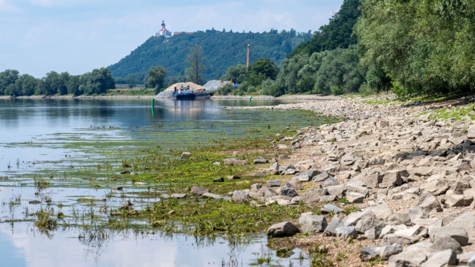Gefährlich für Unternehmen: Niedrigwasser an der Donau.Armin Weigel/dpa