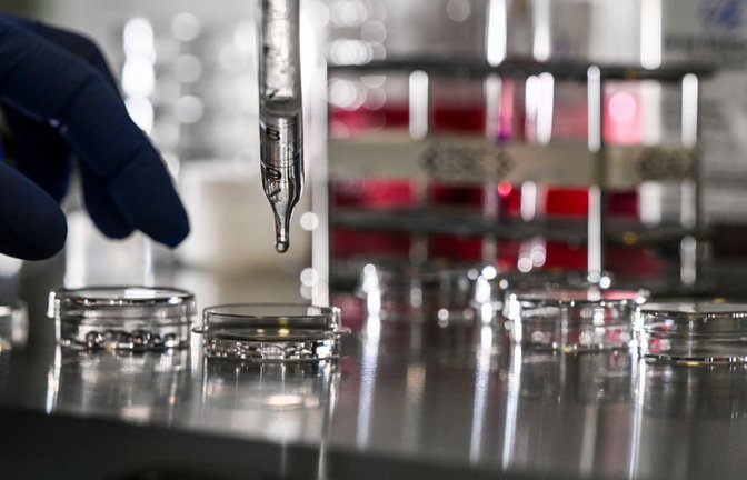 Ein neuer Fonds soll dazu beitragen, forschungsintensiven Zukunftstechnologien zum kommerziellen Durchbruch zu verhelfen.<span class='image-autor'>Foto: Jens Kalaene/dpa</span>