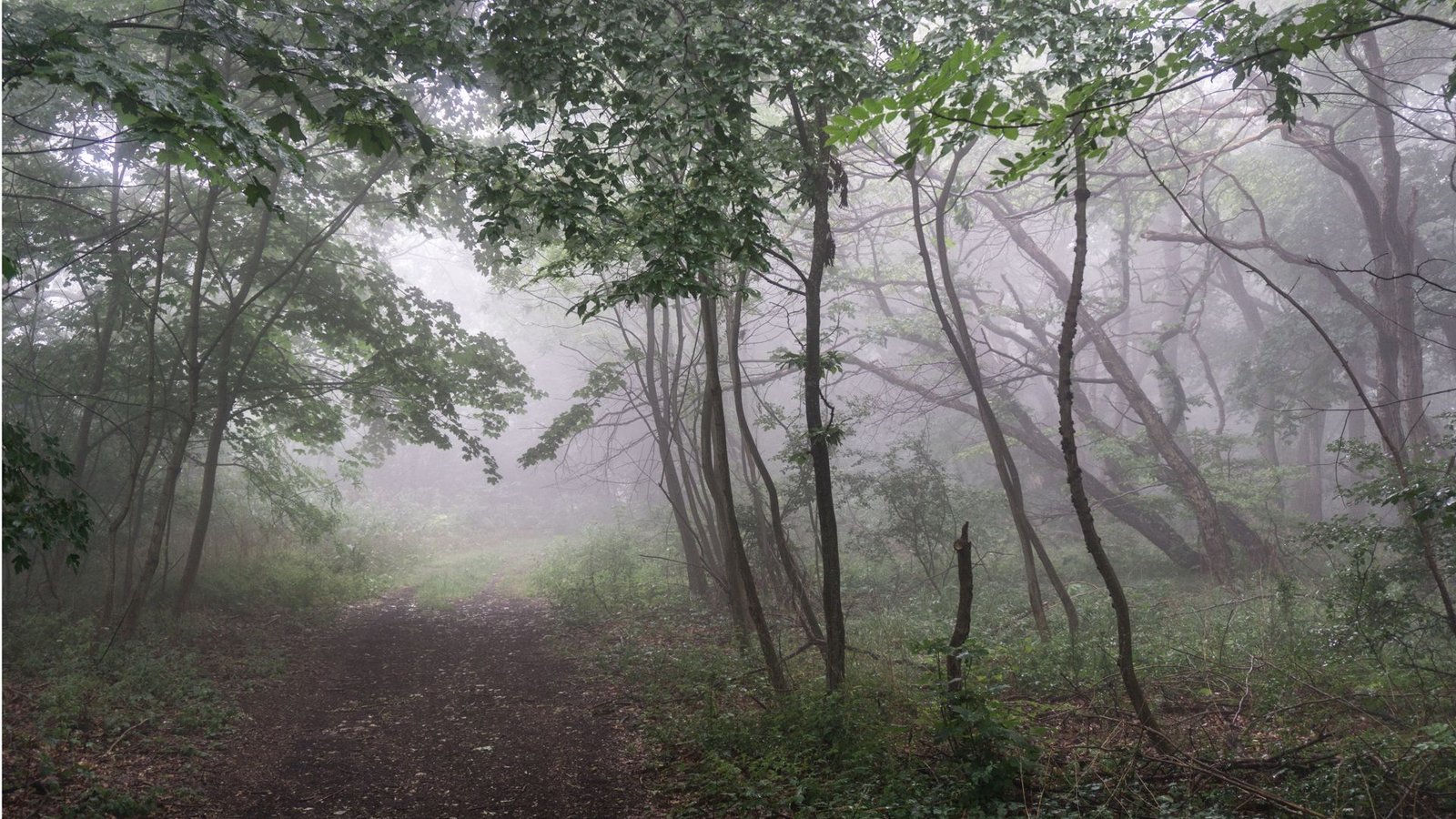 Am Kornberg oberhalb von Bad Boll hat man die Hälfte des Weges fast geschafft.Foto: Faltin Am Kornberg oberhalb von Bad Boll hat man die Hälfte des Weges fast geschafft.Foto: Faltin