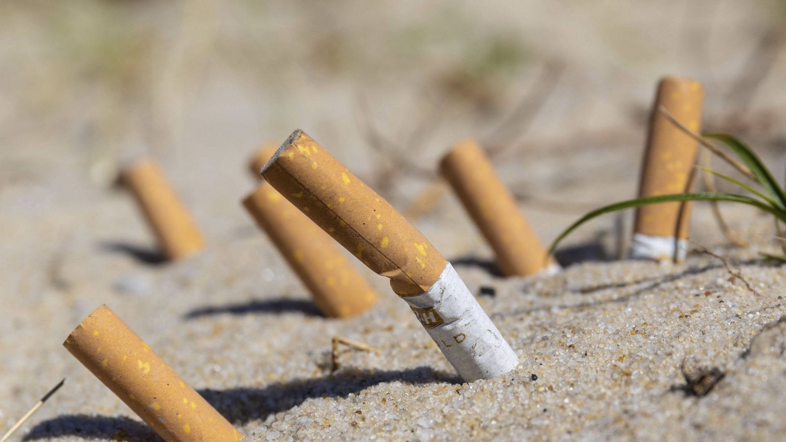 Zigarettenkippen am Strand sind kein schöner Anblick.Foto: IMAGO/Future Image Zigarettenkippen am Strand sind kein schöner Anblick.Foto: IMAGO/Future Image