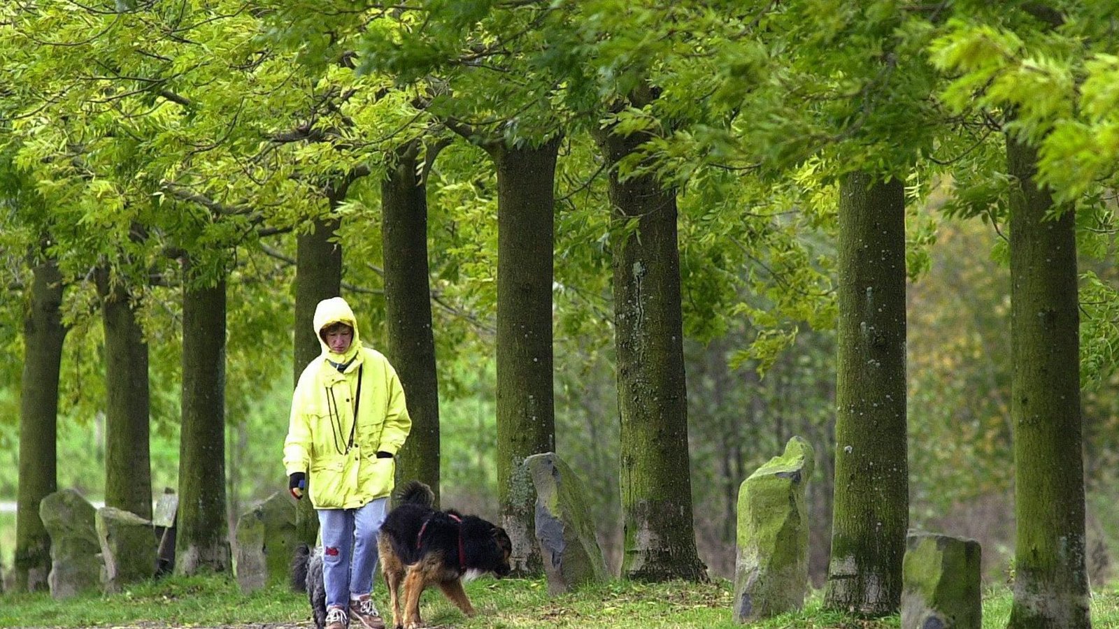 Eine Regenjacke kann bis zu zehn Jahre lang halten – wenn man sie richtig wäscht und pflegt.Foto: dpa/Uwe Zucchi Eine Regenjacke kann bis zu zehn Jahre lang halten – wenn man sie richtig wäscht und pflegt.Foto: dpa/Uwe Zucchi