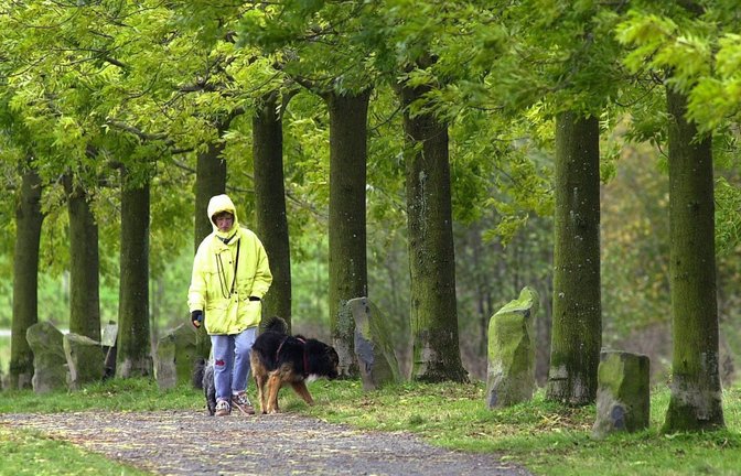 Eine Regenjacke kann bis zu zehn Jahre lang halten – wenn man sie richtig wäscht und pflegt.<span class='image-autor'>Foto: dpa/Uwe Zucchi</span>
