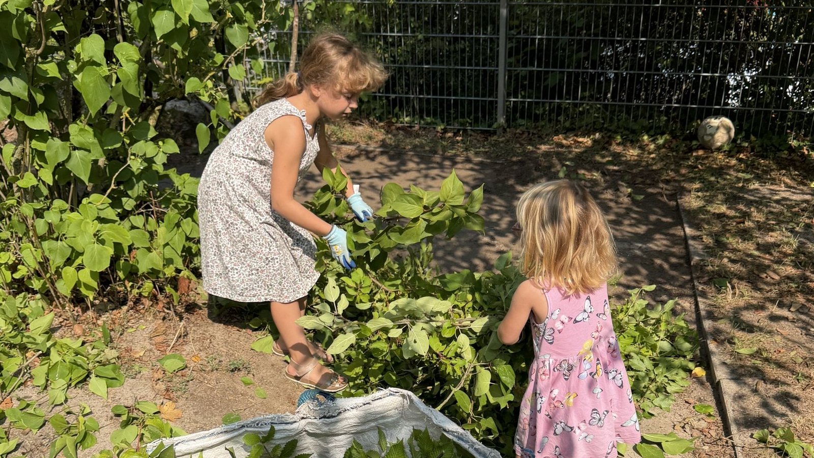 Die Kindergartenkinder helfen selber fleißig mit. Foto: pv Die Kindergartenkinder helfen selber fleißig mit. Foto: pv