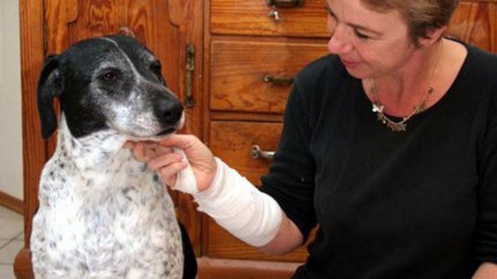 Annäherung an Bruno. Foto: Bögel