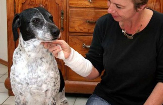 Annäherung an Bruno. Foto: Bögel