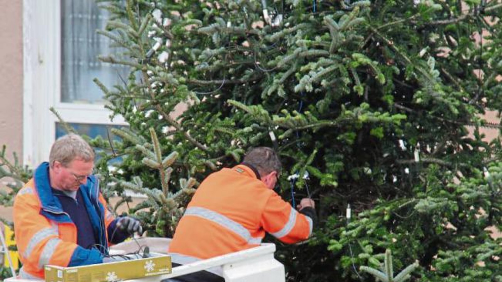 Rechtzeitig vor dem Vaihinger Weihnachtsmarkt am kommenden Samstag hängen Bauhofmitarbeiter die Lichterkette an den Weihnachtsbaum.  Foto: Elsässer