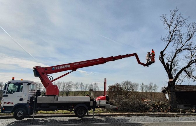 Arbeiten zur Gehölzpflege mögen drastisch aussehen, dienen aber der Natur und auch der Verkehrssicherheit an den Straßen im Kreis Ludwigsburg.  <span class='image-autor'>Foto: Landratsamt</span>