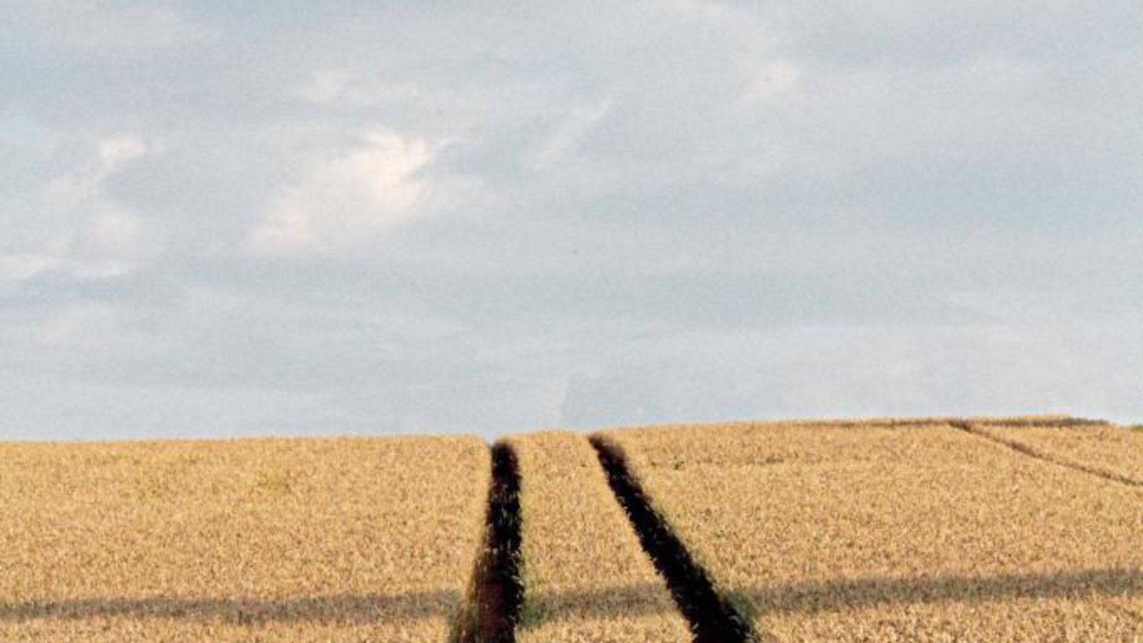 „Hinter dem Horizont geht’s weiter“ heißt es frei nach Udo Lindenberg auf diesem Getreidefeld nahe Hochdorf.  Foto: Romanowski