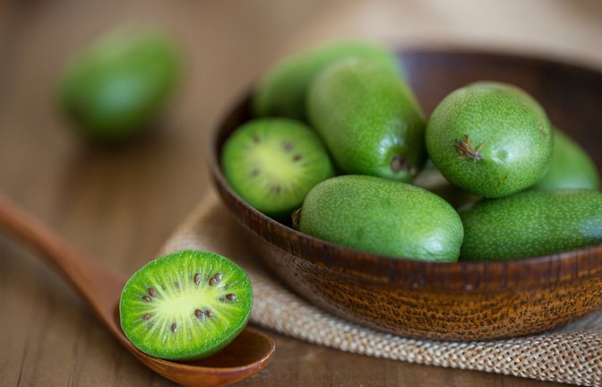 Die kleinen Kiwis lassen sich auf vielerlei Weise essen.<span class='image-autor'>Foto: Innesslam / shutterstock.com</span>