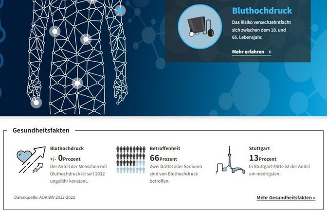 Ein Ausschnitt aus dem Online-Gesundheitsatlas<span class='image-autor'>Foto: Screenshot/Plavec</span>