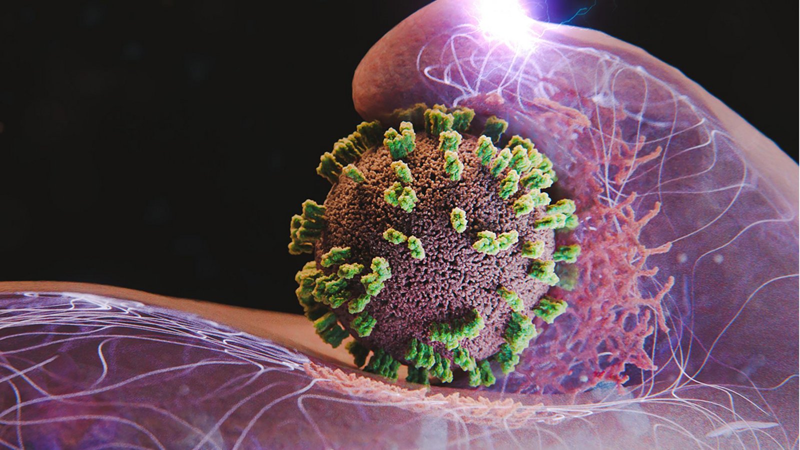 Zellen helfen aktiv mit, Influenzaviren einzufangen und einzuverleiben. Hier ist eine Zelle und in der Bildmitte ein Virus dargestellt.Foto: Emma Hyde Zellen helfen aktiv mit, Influenzaviren einzufangen und einzuverleiben. Hier ist eine Zelle und in der Bildmitte ein Virus dargestellt.Foto: Emma Hyde