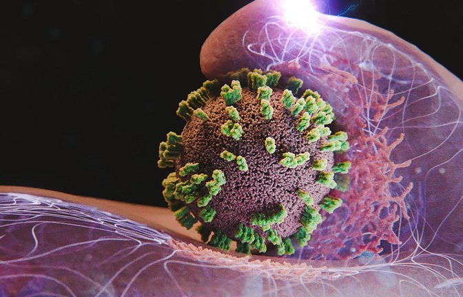 Zellen helfen aktiv mit, Influenzaviren einzufangen und einzuverleiben. Hier ist eine Zelle und in der Bildmitte ein Virus dargestellt.<span class='image-autor'>Foto: Emma Hyde</span>