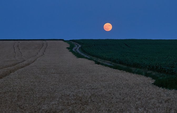 Erfahren Sie, wo genau der Mond aufgeht und warum sich dies immer ändert. Alles Wichtige zu Himmelsrichtungen und Zeitpunkten.<span class='image-autor'>Foto: Panfil Pirvulescu / Shutterstock.com</span>