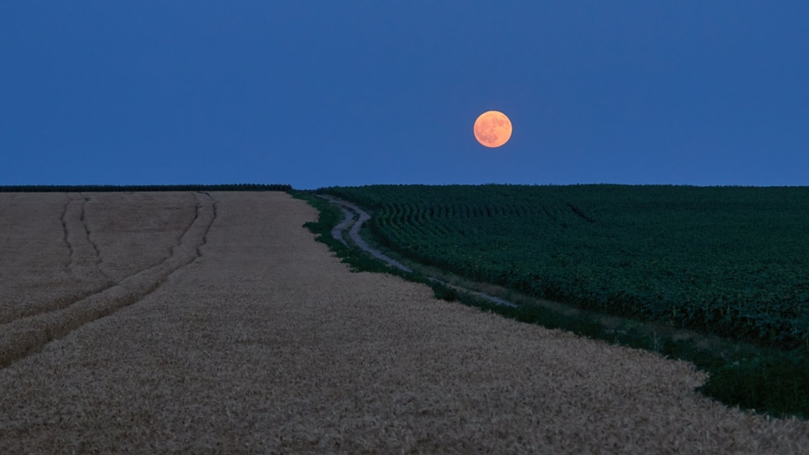 Erfahren Sie, wo genau der Mond aufgeht und warum sich dies immer ändert. Alles Wichtige zu Himmelsrichtungen und Zeitpunkten.Foto: Panfil Pirvulescu / Shutterstock.com