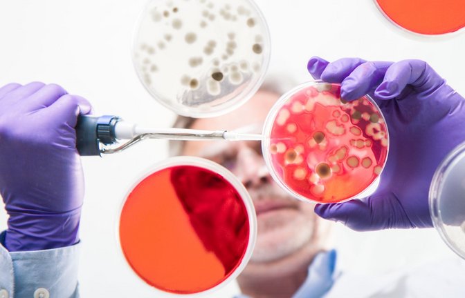Damit auch in Zukunft effektive Medikamente gegen bakterielle Infektionserkrankungen verfügbar sind, werden Antibiotika benötigt, die andere Zielstrukturen der Bakterien adressieren als alle Wirkstoffe, die bereits klinisch verwendet werden (Symbolfoto).<span class='image-autor'>Foto: Imago/Panthermedia</span>
