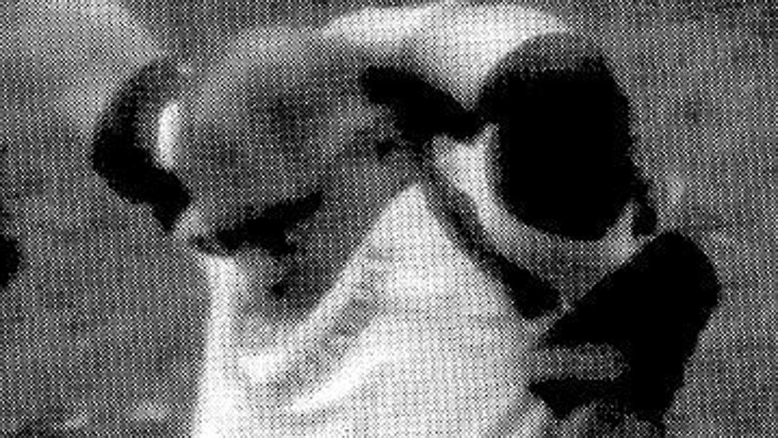 Als einziger bewaffnet zu Terrortreff: Paul-Ludwig U., Spitzel des Landeskriminalamtes Baden-Württemberg.Foto: StN Als einziger bewaffnet zu Terrortreff: Paul-Ludwig U., Spitzel des Landeskriminalamtes Baden-Württemberg.Foto: StN