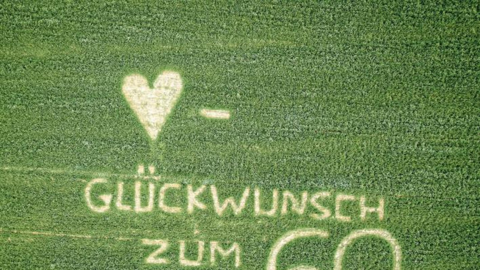 Der Wunsch zum 60. Geburtstag für eine Enzweihingerin wurde in das Ackerfutter gemäht. Foto: p