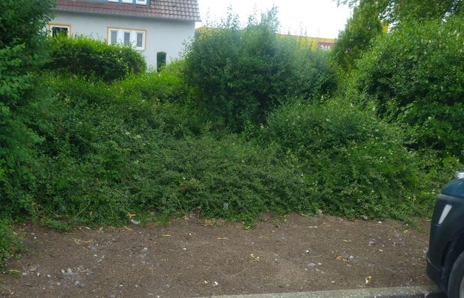 Wie Sie sehen, sehen Sie nichts: Die Ladesäulen an der Vaihinger Hertzstraße sind abgebaut.