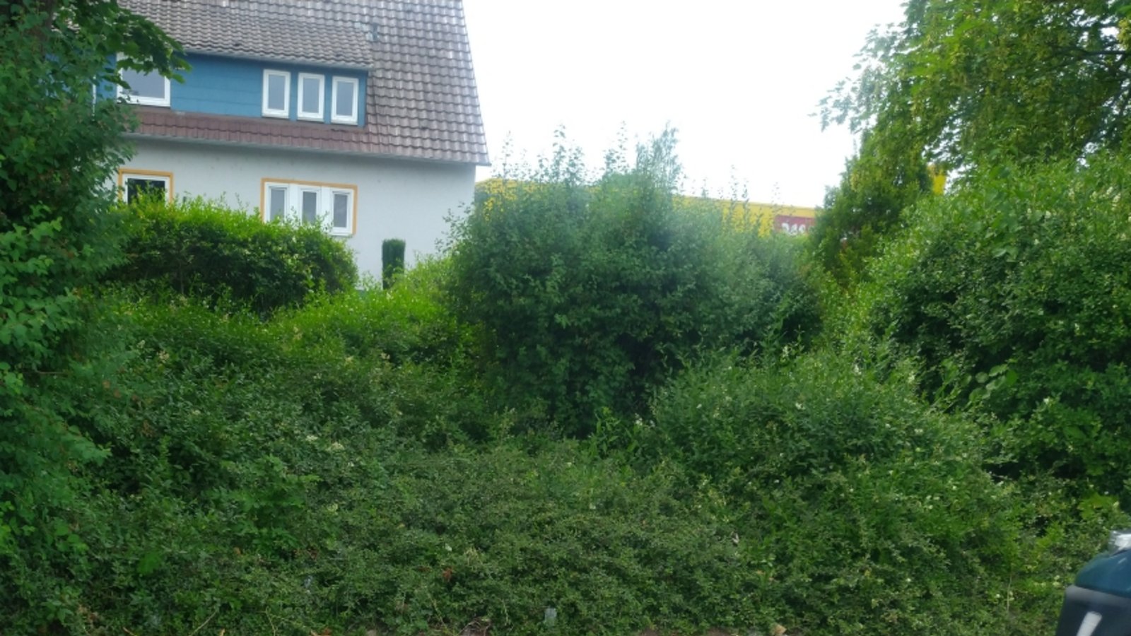 Wie Sie sehen, sehen Sie nichts: Die Ladesäulen an der Vaihinger Hertzstraße sind abgebaut. Wie Sie sehen, sehen Sie nichts: Die Ladesäulen an der Vaihinger Hertzstraße sind abgebaut.