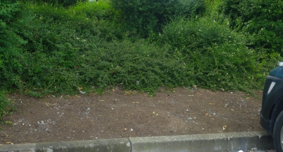 keine Ladesäule mehr zwischen unterem Rewe und DM an der Hertzstraße in Vaihingen
